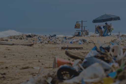 Beach Pollution